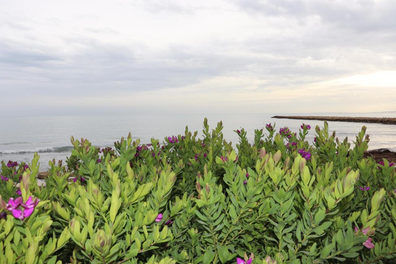 Carmen Apartments With Sea View Near Alicante Santa Pola Exteriér fotografie